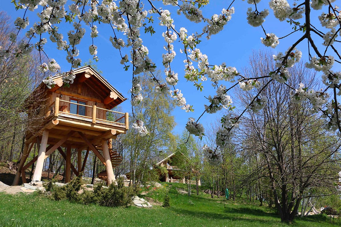 Custom built Elevated log cabin, BC Log Home Builder.