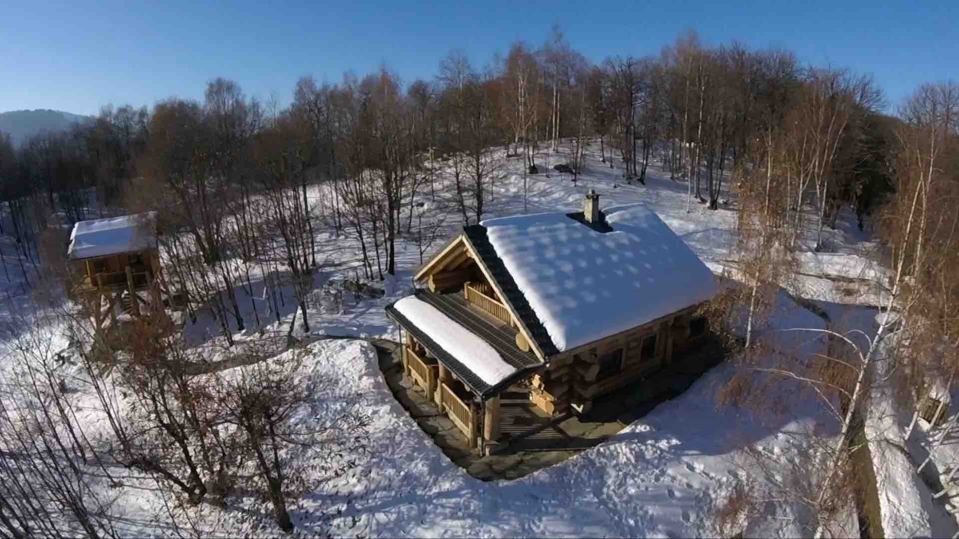 Exterior view of BC Log Home.
