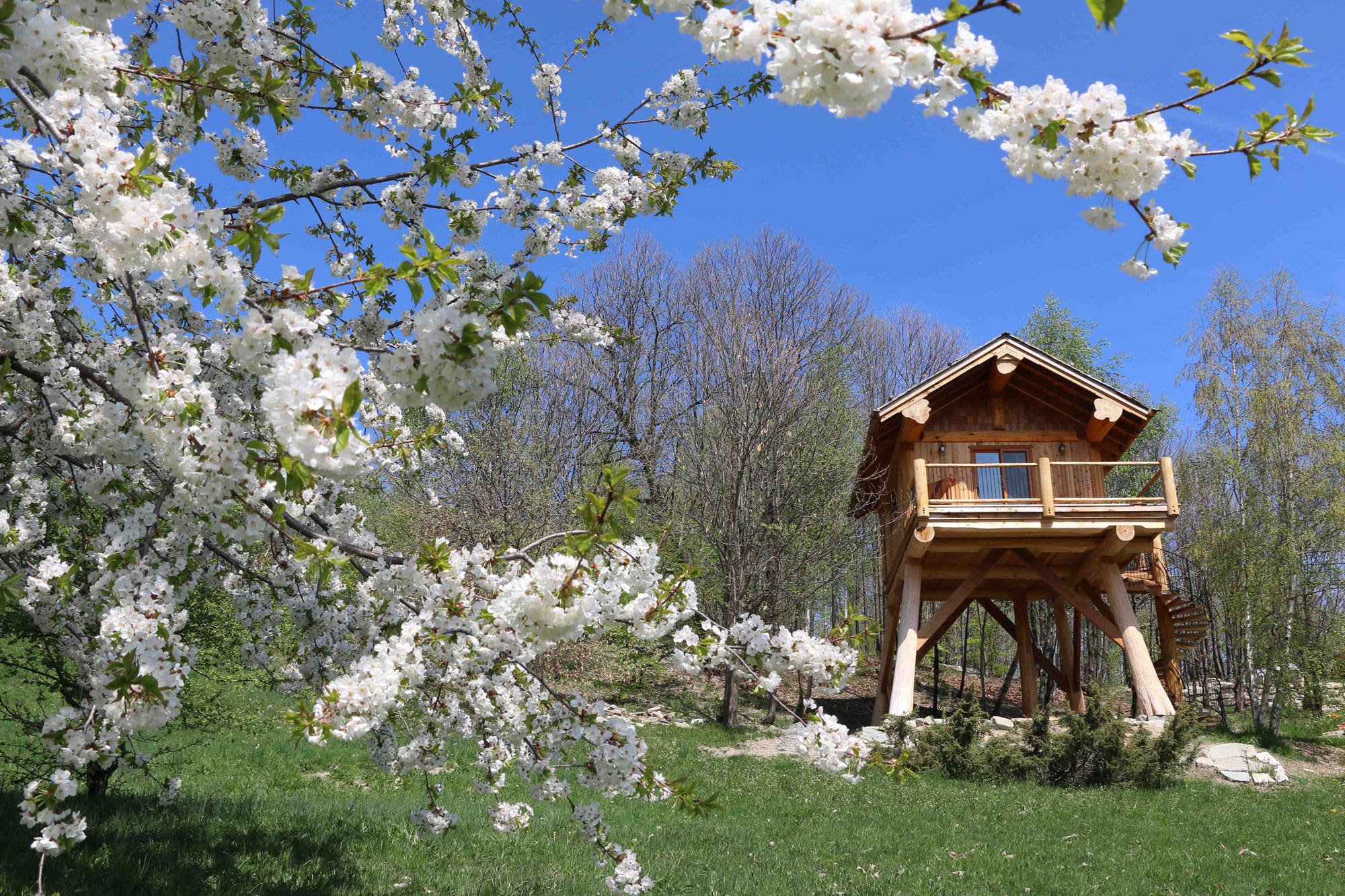 Custom built Log Cabin.